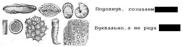 раздаточный материал