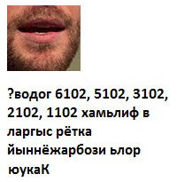 раздаточный материал