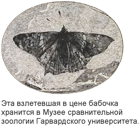 раздаточный материал