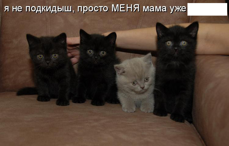раздаточный материал