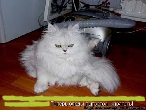 раздаточный материал