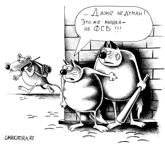 раздаточный материал