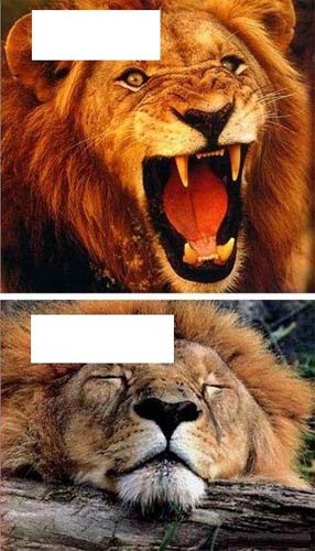 раздаточный материал