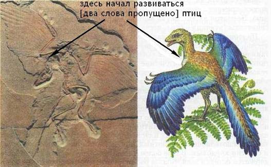 раздаточный материал