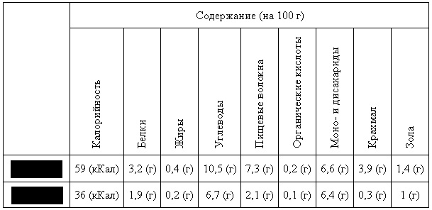 раздаточный материал