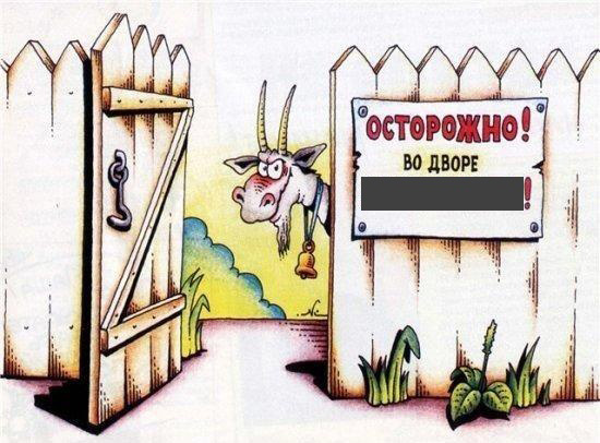 раздаточный материал