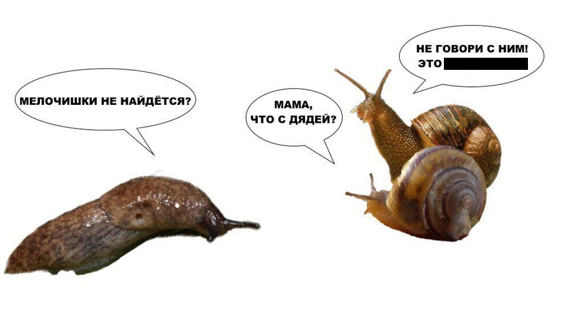 раздаточный материал