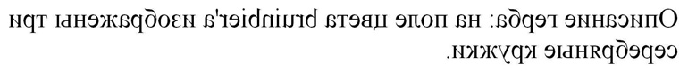 раздаточный материал