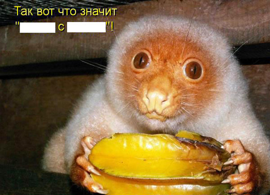 раздаточный материал