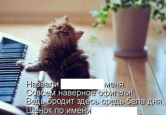 раздаточный материал