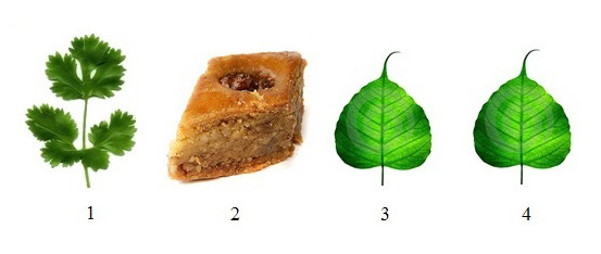 раздаточный материал