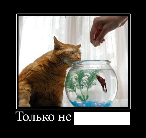раздаточный материал