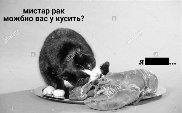 раздаточный материал