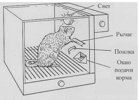 раздаточный материал