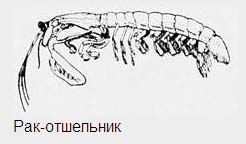 раздаточный материал
