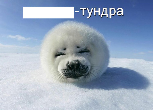 раздаточный материал