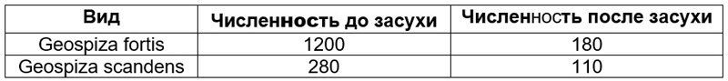 раздаточный материал