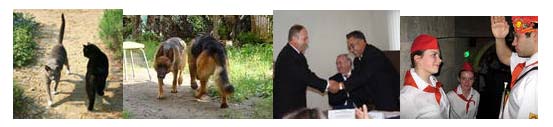 раздаточный материал