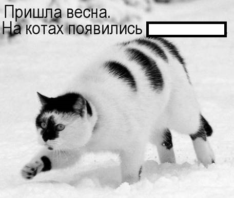 раздаточный материал