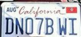 раздаточный материал