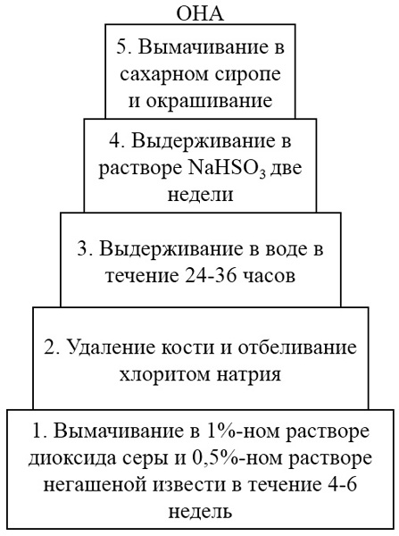 раздаточный материал