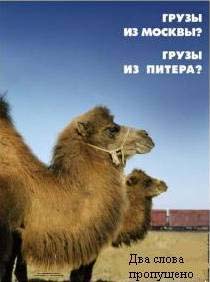 раздаточный материал