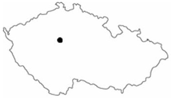 раздаточный материал