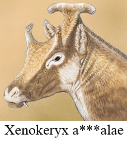 раздаточный материал