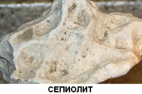 раздаточный материал