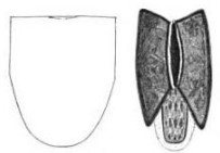 раздаточный материал