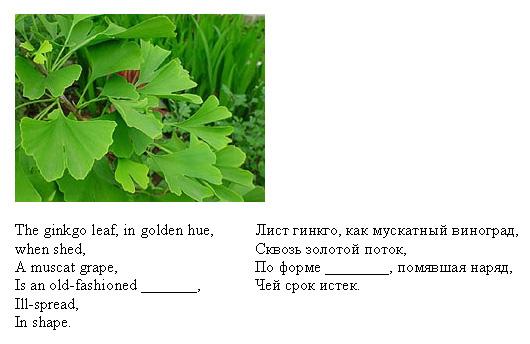 раздаточный материал